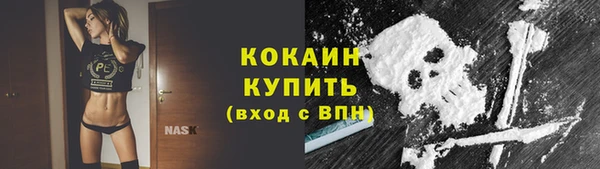 PSILOCYBIN Михайлов
