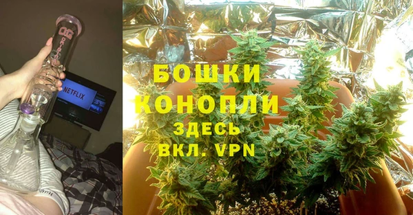 PSILOCYBIN Михайлов