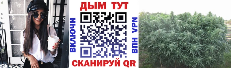 blacksprut сайт  Яровое  Каннабис план 